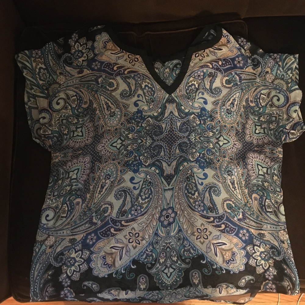 Sheer short sleeved top, 2X